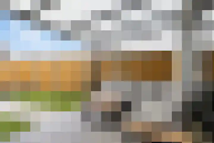Havikskruid 25 Berghem thumbnail 27
