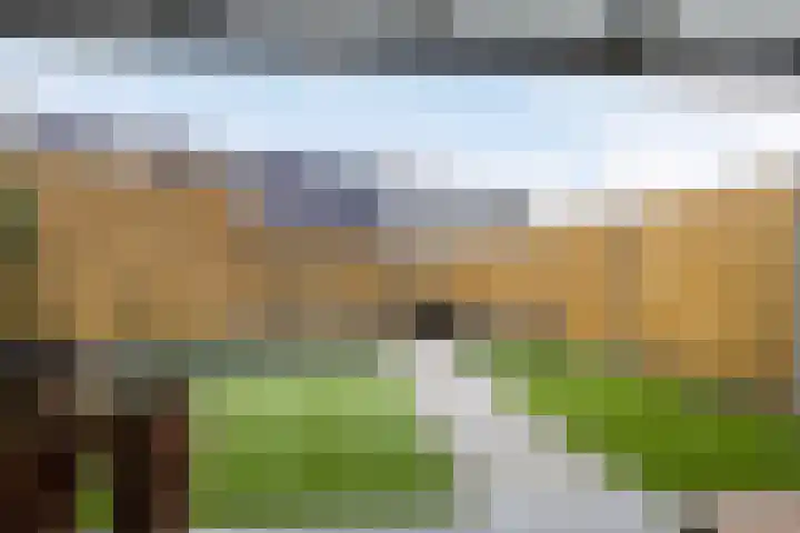 Havikskruid 25 Berghem thumbnail 28
