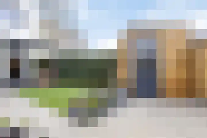 Havikskruid 25 Berghem thumbnail 30