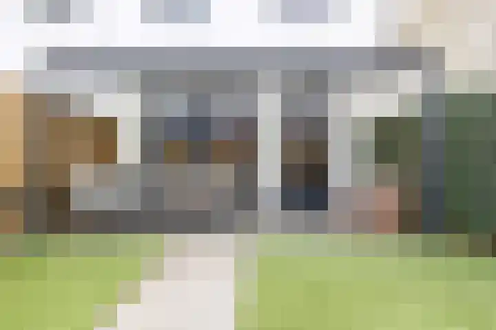 Havikskruid 25 Berghem thumbnail 31