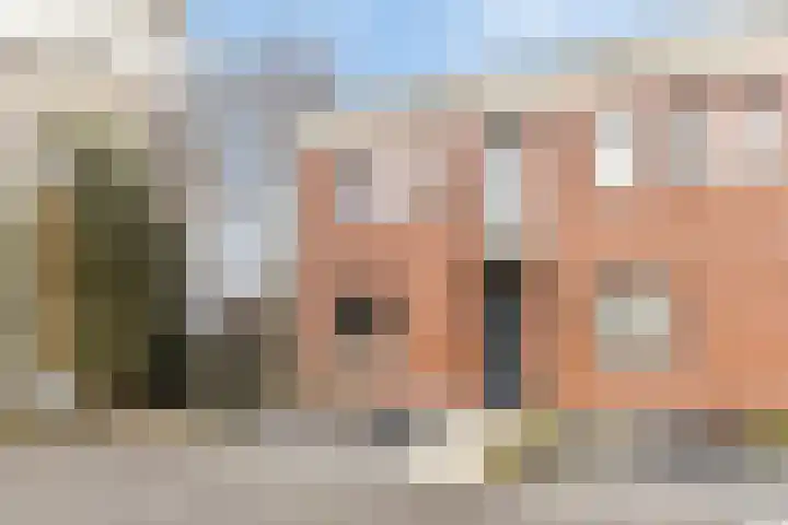 Havikskruid 25 Berghem thumbnail 33