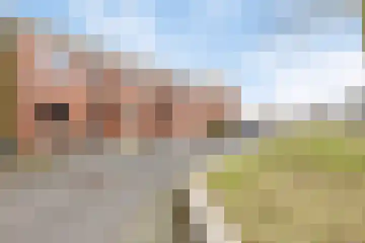 Havikskruid 25 Berghem thumbnail 34