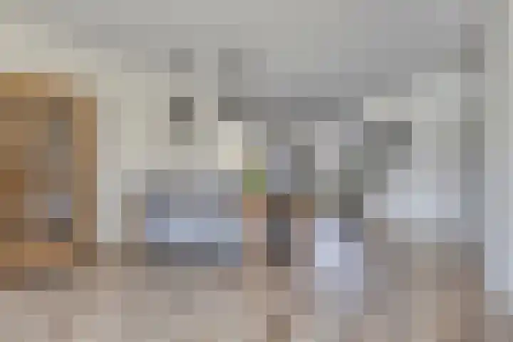 Havikskruid 26 Berghem thumbnail 10