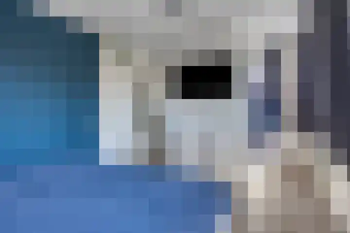 Havikskruid 26 Berghem thumbnail 20