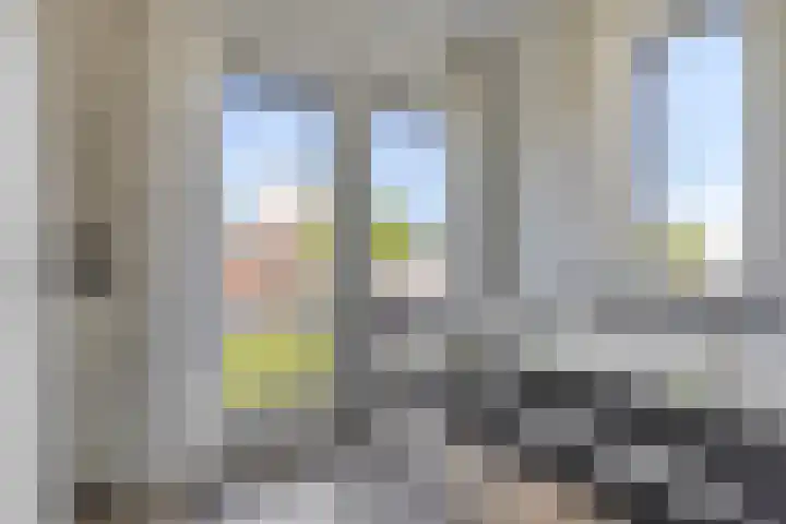 Havikskruid 26 Berghem thumbnail 22
