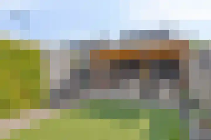Havikskruid 26 Berghem thumbnail 33