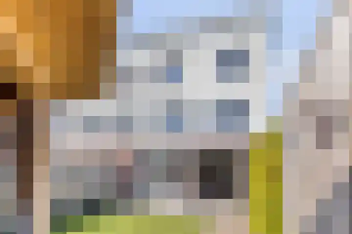 Havikskruid 26 Berghem thumbnail 34