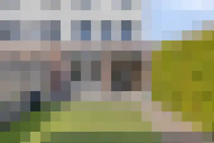 Havikskruid 26 Berghem thumbnail 35