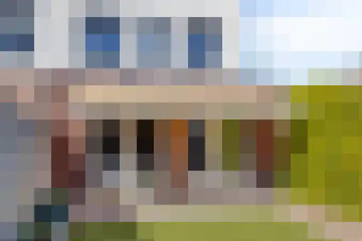 Havikskruid 26 Berghem thumbnail 37