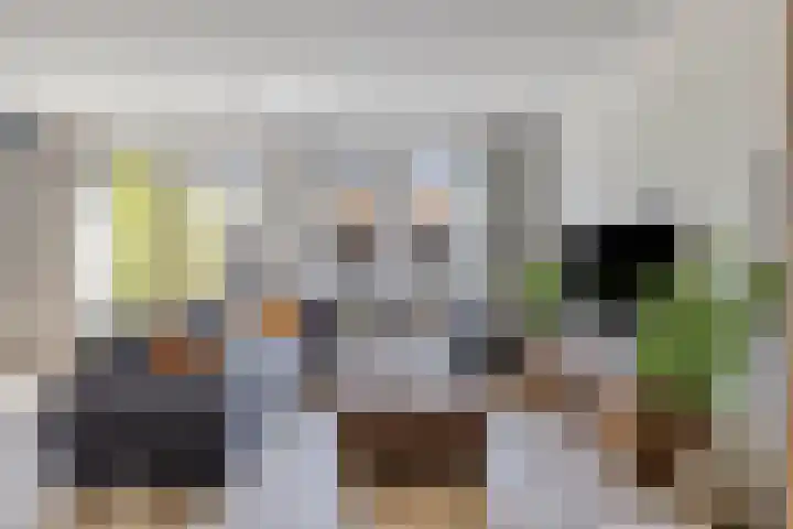 Havikskruid 26 Berghem thumbnail 8