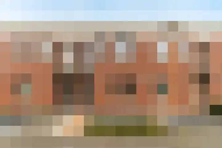 Havikskruid 29 Berghem thumbnail 22