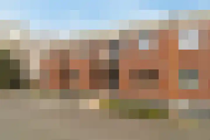 Havikskruid 29 Berghem thumbnail 5