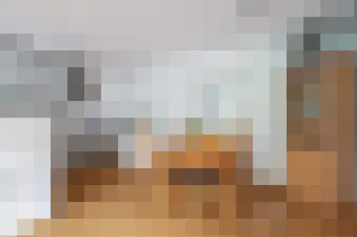 Havikskruid 30 Diemen thumbnail 10