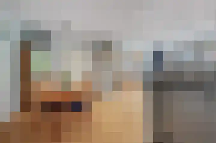 Havikskruid 30 Diemen thumbnail 11
