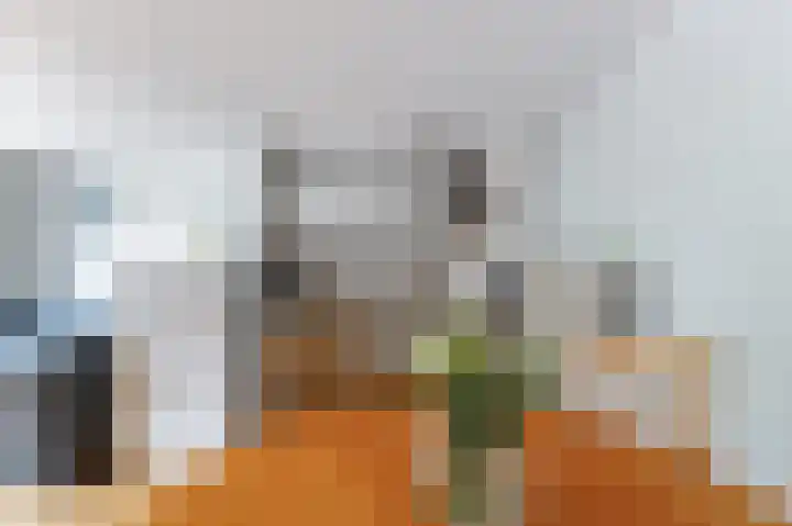 Havikskruid 30 Diemen thumbnail 12