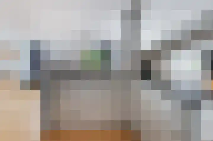 Havikskruid 30 Diemen thumbnail 13
