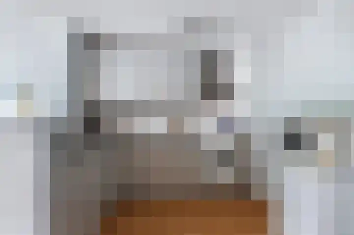 Havikskruid 30 Diemen thumbnail 14
