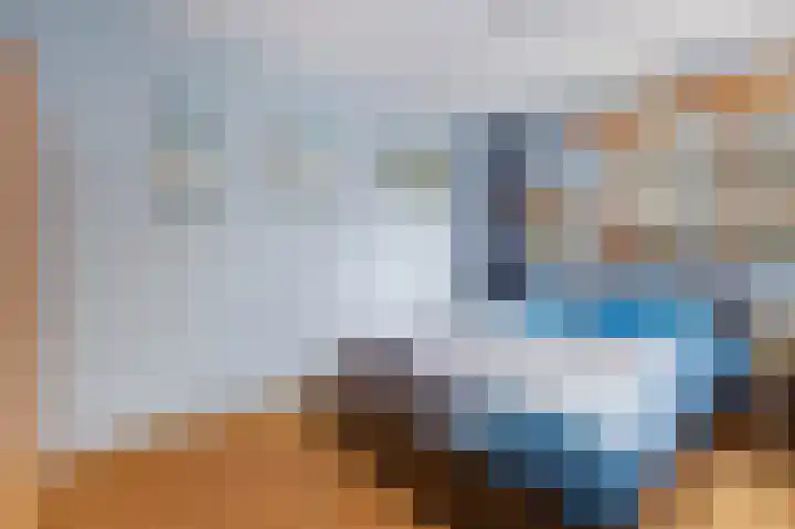 Havikskruid 30 Diemen thumbnail 17