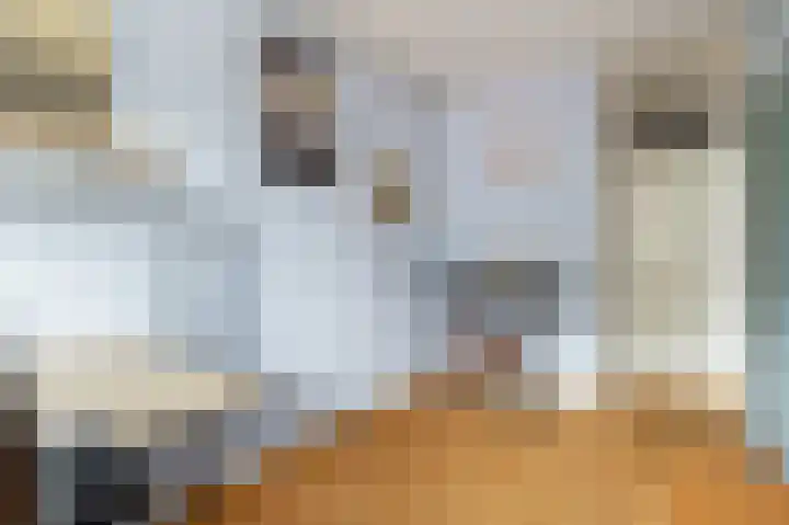 Havikskruid 30 Diemen thumbnail 20