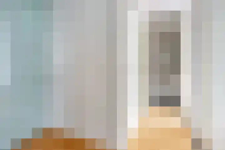 Havikskruid 30 Diemen thumbnail 21