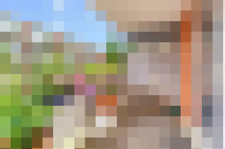 Havikskruid 30 Diemen thumbnail 23