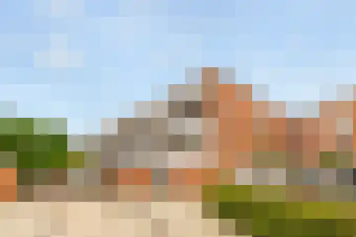 Havikskruid 30 Diemen thumbnail 26