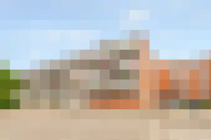 Havikskruid 30 Diemen thumbnail 27