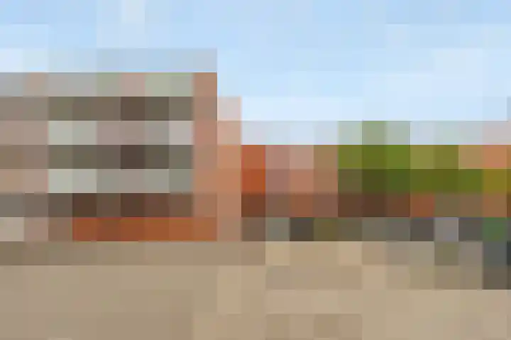 Havikskruid 30 Diemen thumbnail 28