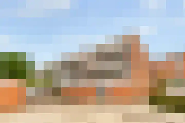 Havikskruid 30 Diemen thumbnail 33
