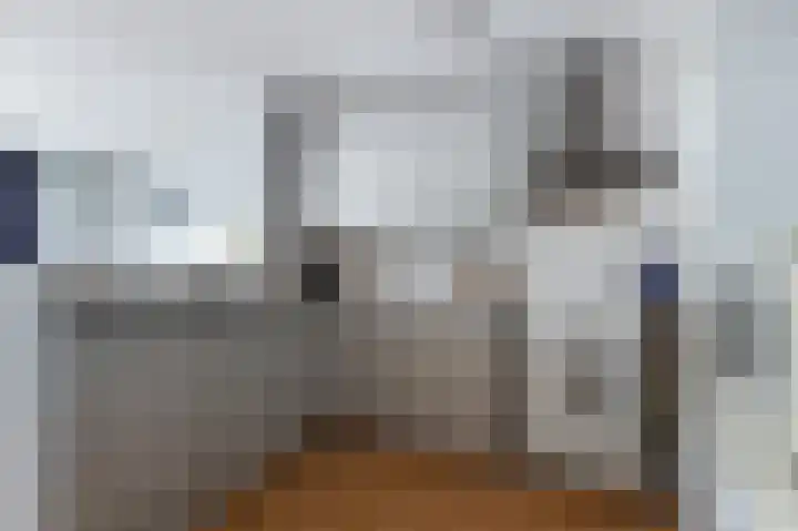 Havikskruid 30 Diemen thumbnail 4