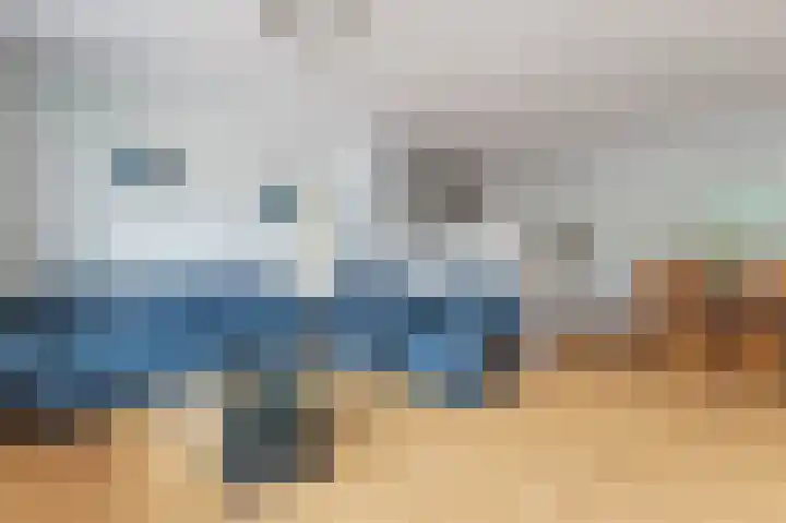 Havikskruid 30 Diemen thumbnail 6