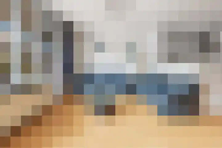 Havikskruid 30 Diemen thumbnail 7