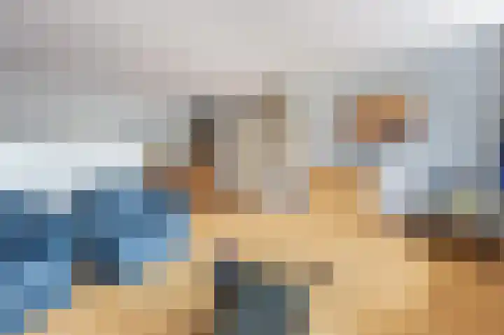 Havikskruid 30 Diemen thumbnail 8