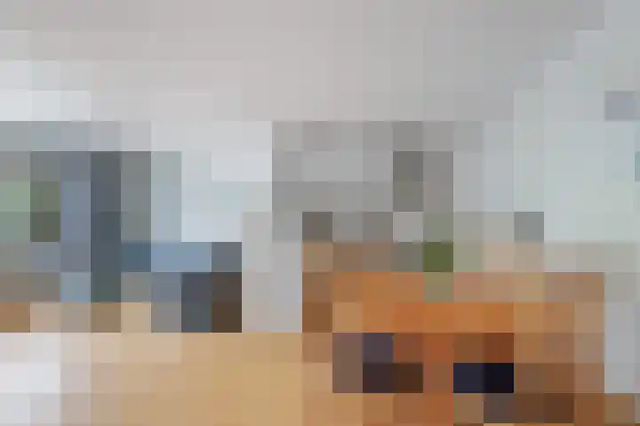 Havikskruid 30 Diemen thumbnail 9
