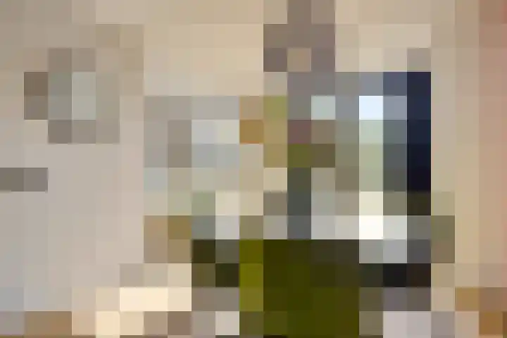 Havikskruid 33 Boxmeer thumbnail 10
