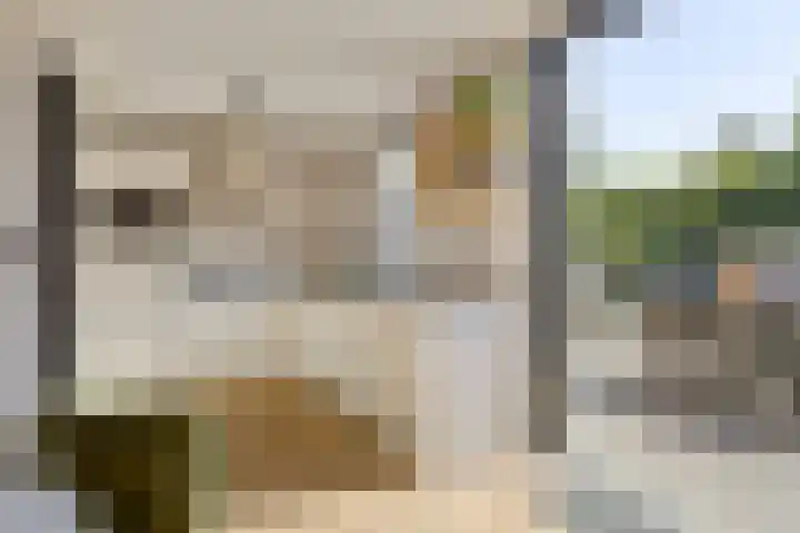 Havikskruid 33 Boxmeer thumbnail 11