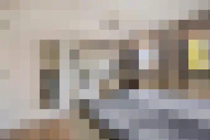 Havikskruid 33 Boxmeer thumbnail 18