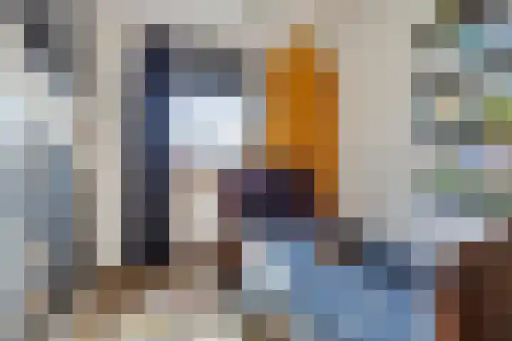 Havikskruid 33 Boxmeer thumbnail 19