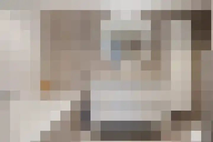 Havikskruid 33 Boxmeer thumbnail 22