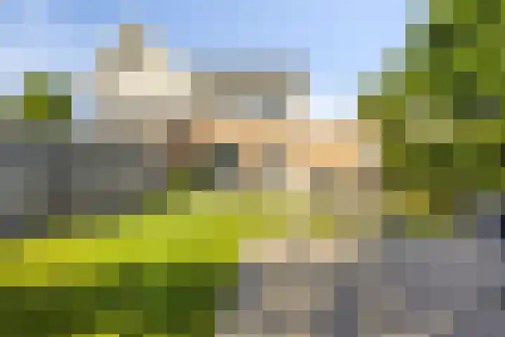 Havikskruid 33 Boxmeer thumbnail 29
