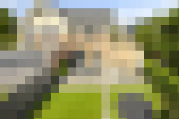Havikskruid 33 Boxmeer thumbnail 30