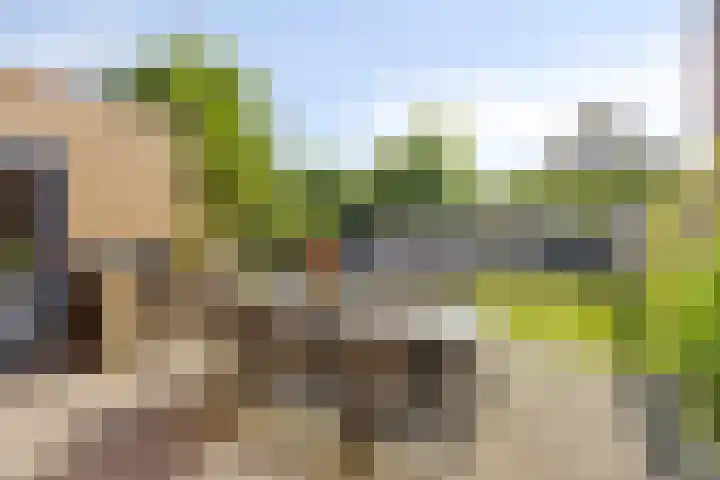 Havikskruid 33 Boxmeer thumbnail 31