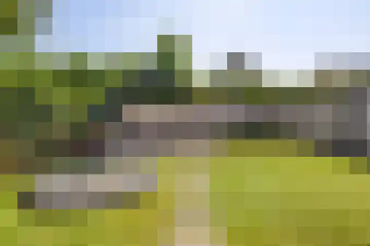 Havikskruid 33 Boxmeer thumbnail 32
