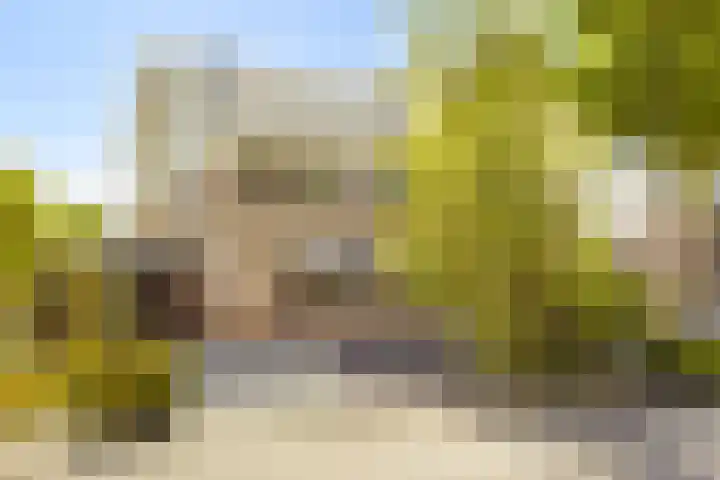 Havikskruid 33 Boxmeer thumbnail 33