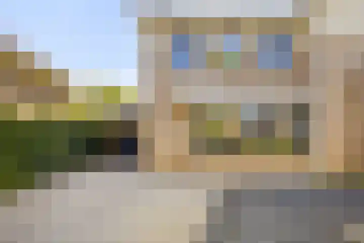 Havikskruid 33 Boxmeer thumbnail 36