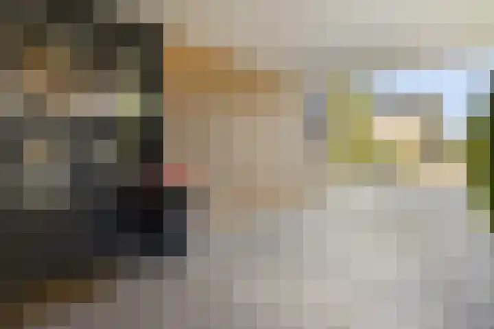Havikskruid 33 Boxmeer thumbnail 37