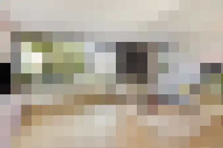 Havikskruid 33 Boxmeer thumbnail 4