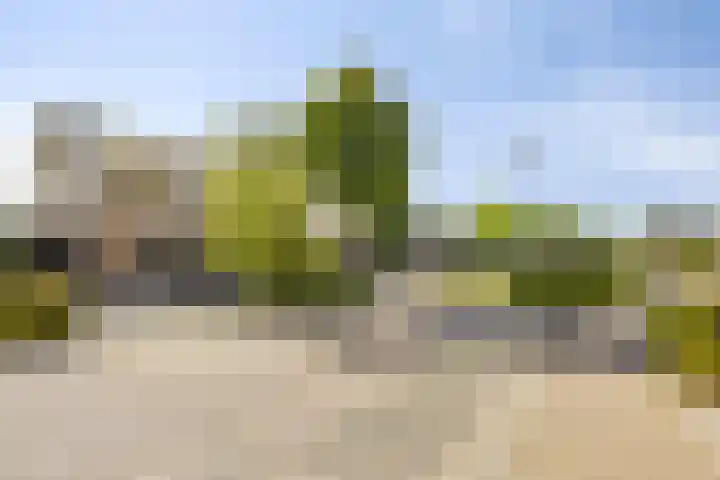 Havikskruid 33 Boxmeer thumbnail 40