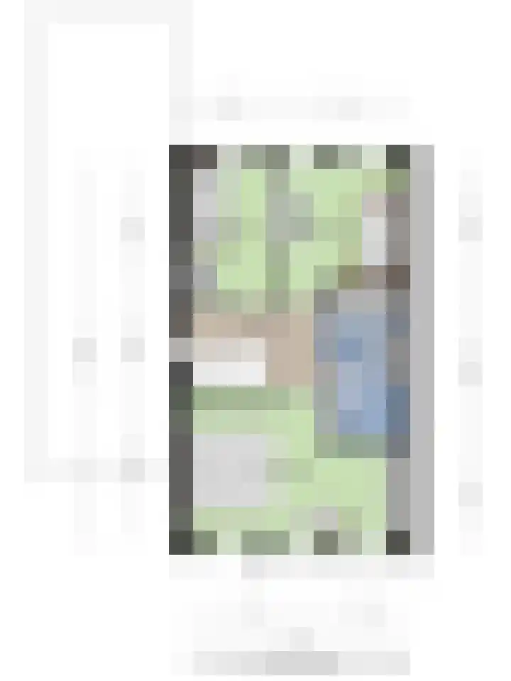 Havikskruid 33 Boxmeer thumbnail 43