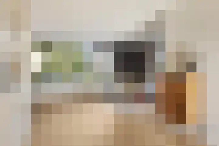 Havikskruid 33 Boxmeer thumbnail 6